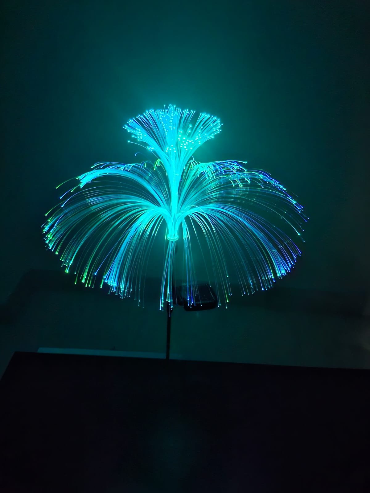 Butterfly Double Layer Fiver Waterproof Solar LED Outdoor Garden Light (2 PCs) । CN-120